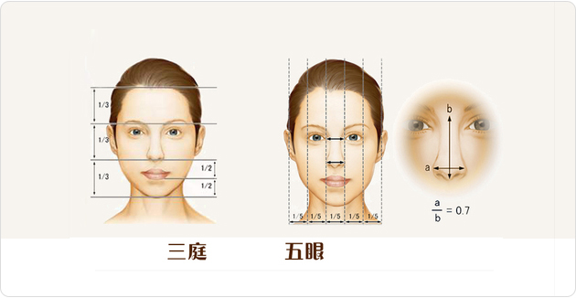发际线影响三庭五眼美学